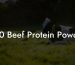 100 Beef Protein Powder