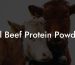 All Beef Protein Powder
