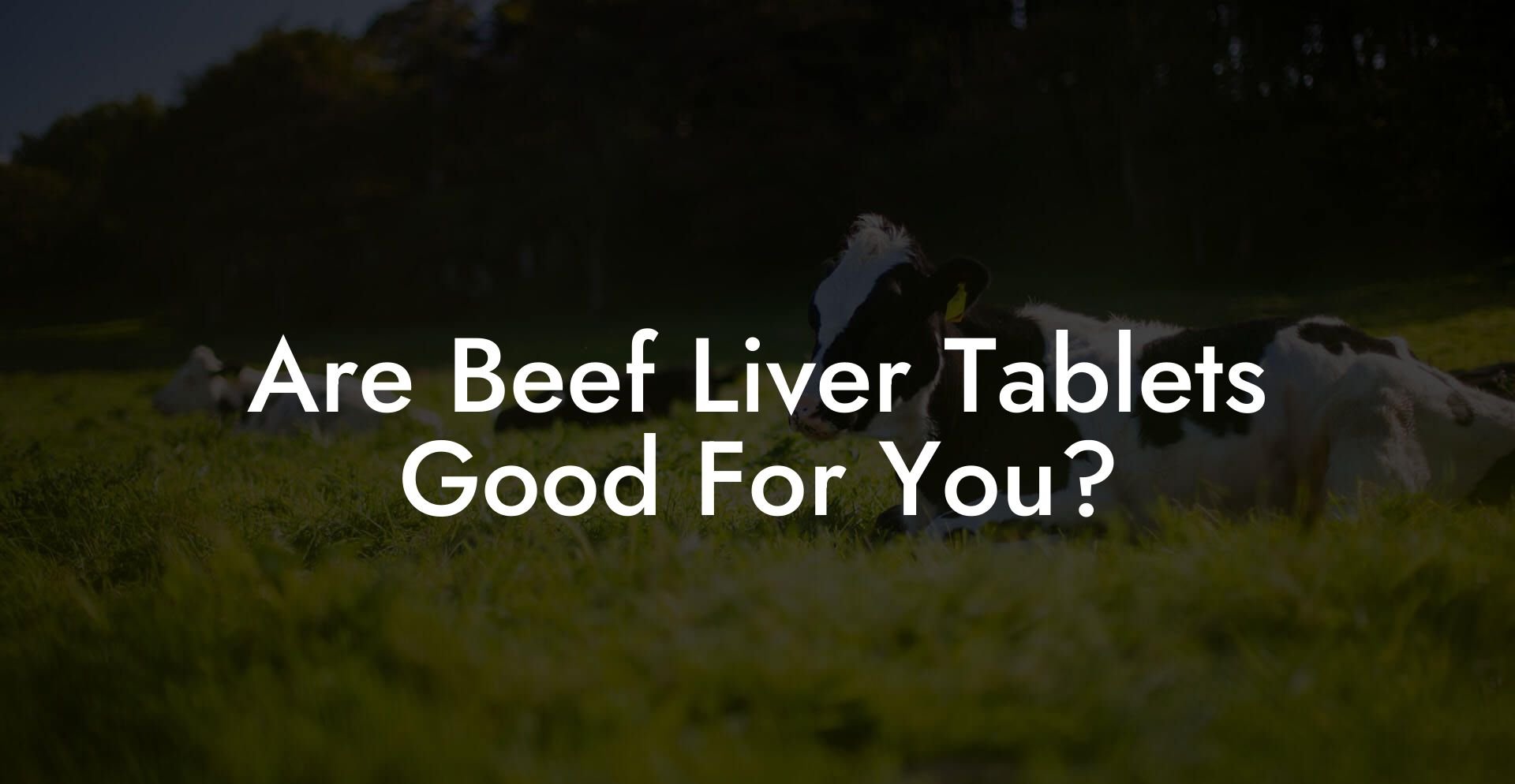 Are Beef Liver Tablets Good For You?
