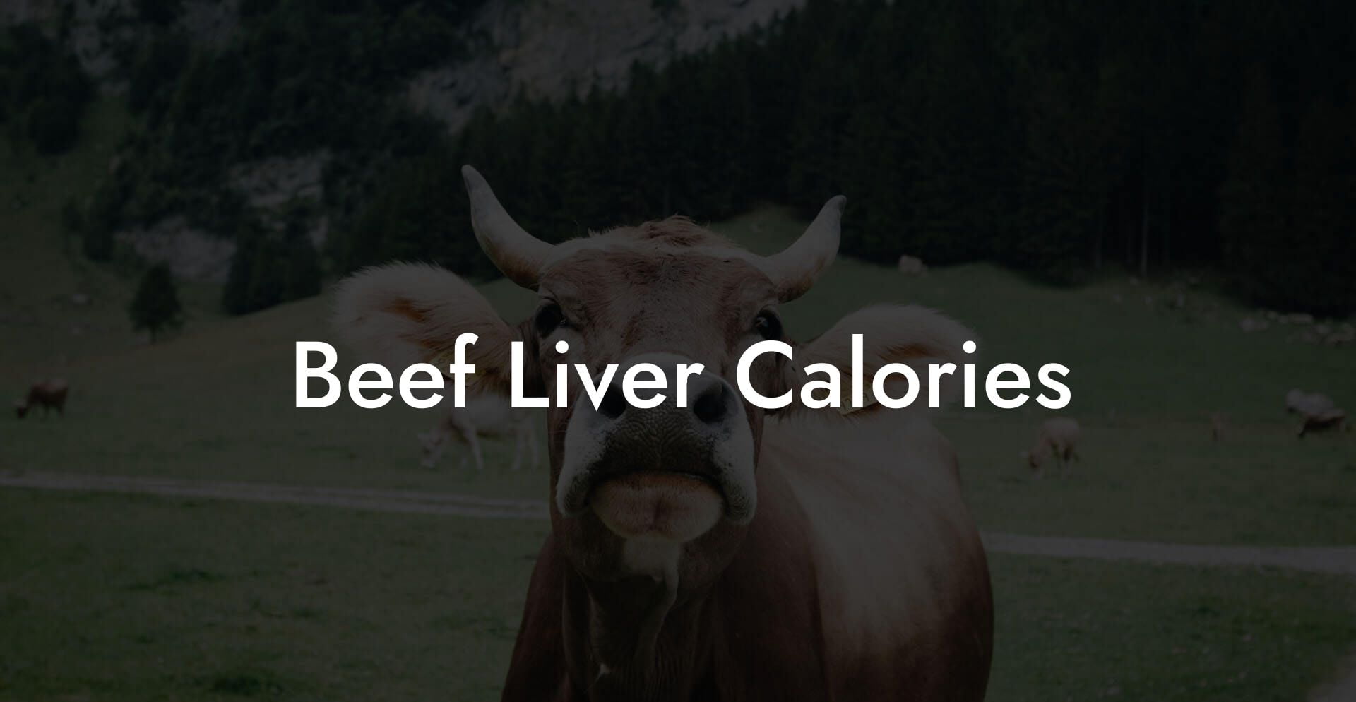 Beef Liver Calories