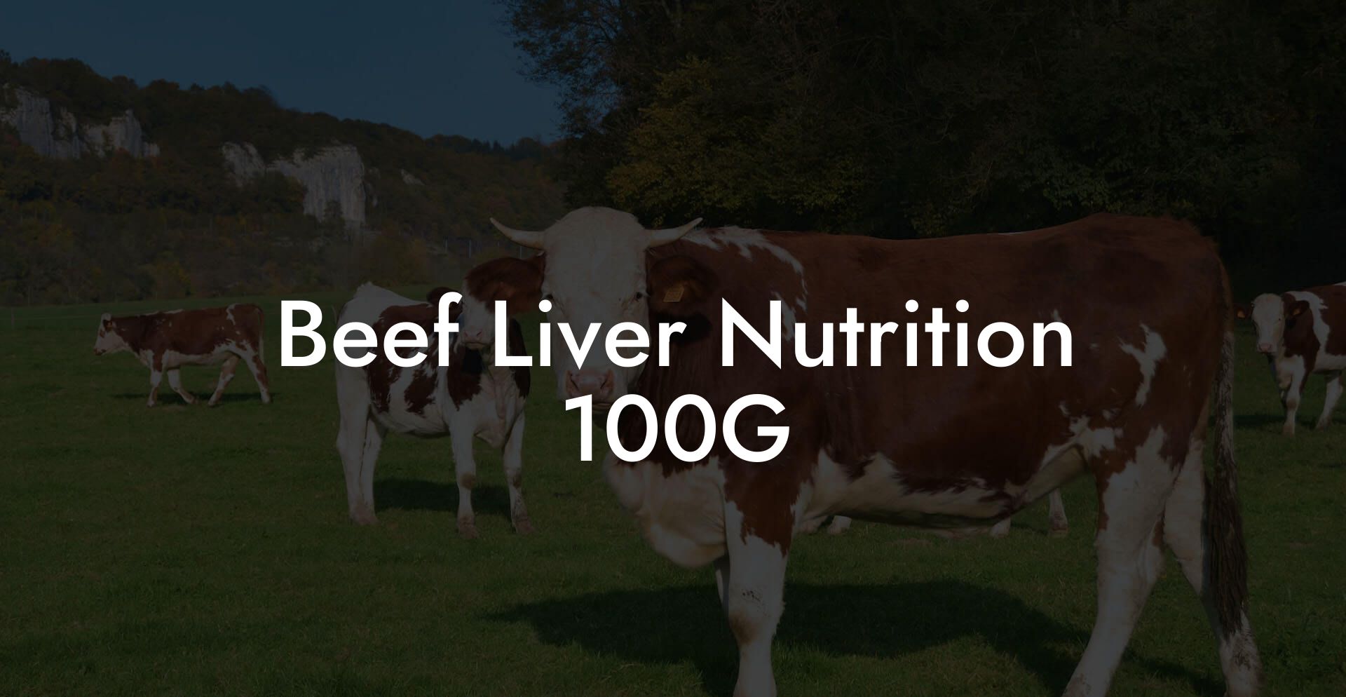 Beef Liver Nutrition 100G