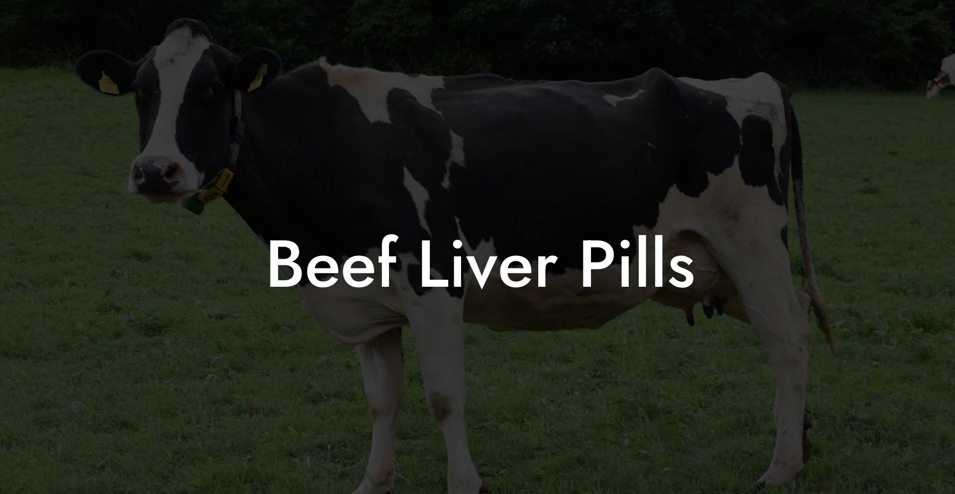 Beef Liver Pills