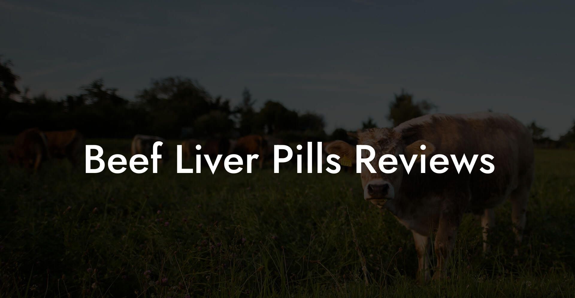 Beef Liver Pills Reviews