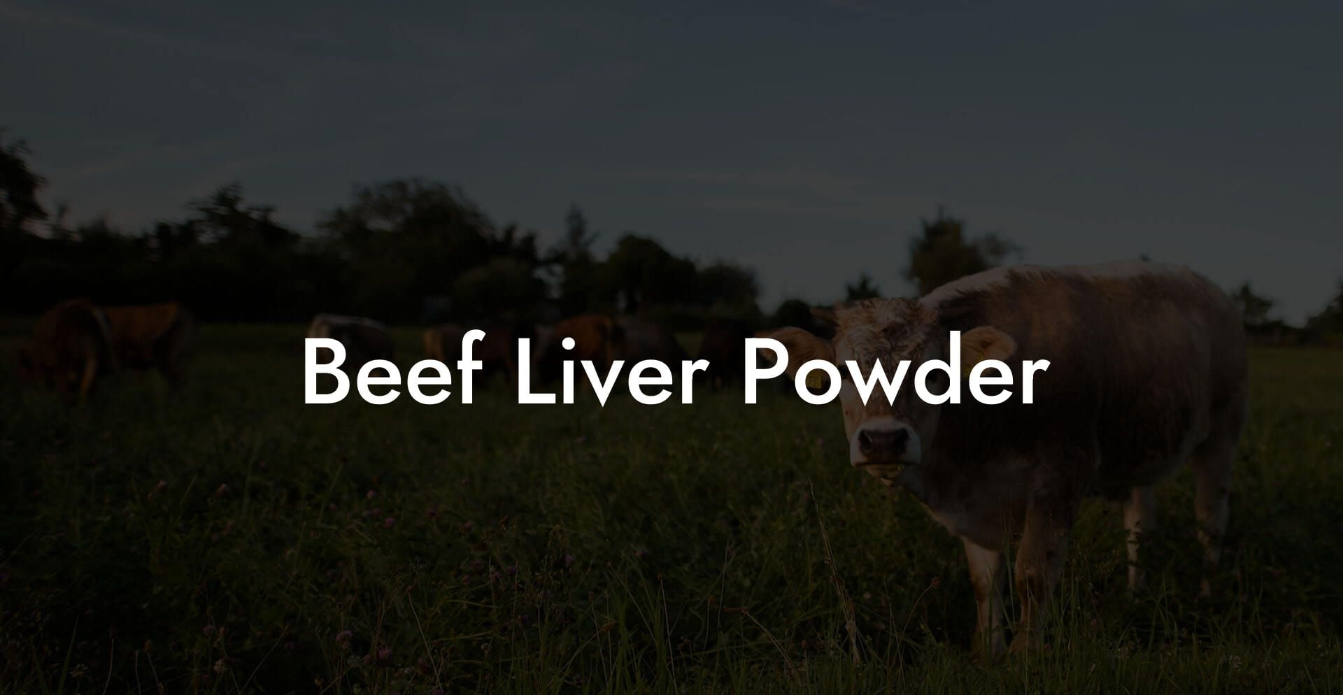 Beef Liver Powder