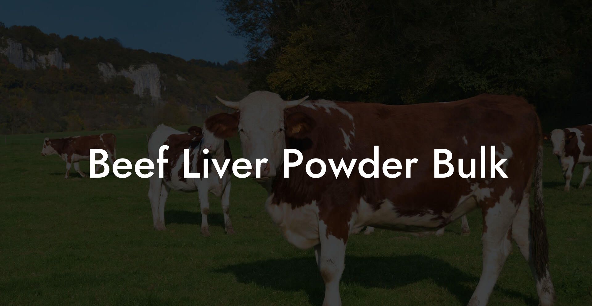 Beef Liver Powder Bulk