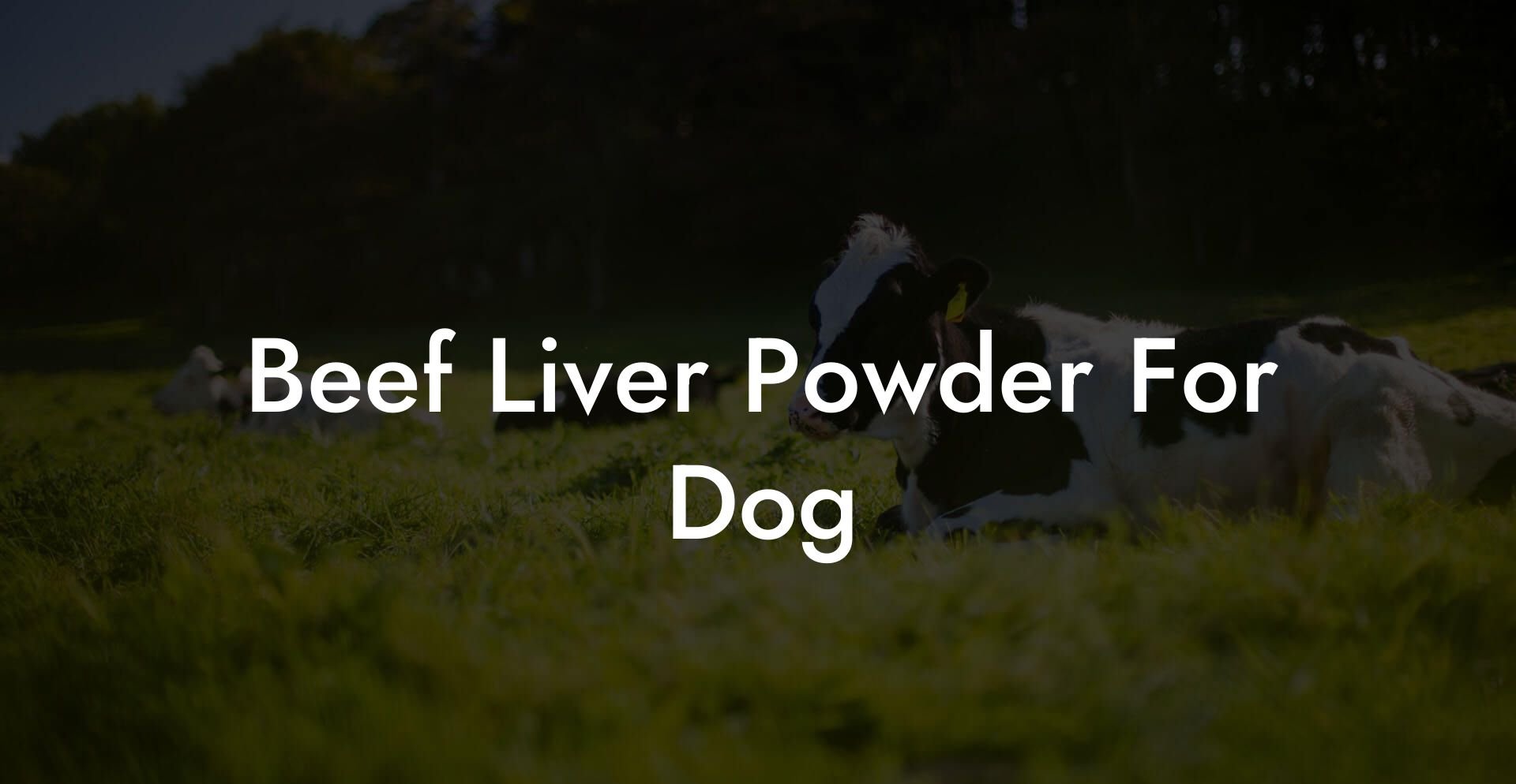 Beef Liver Powder For Dog