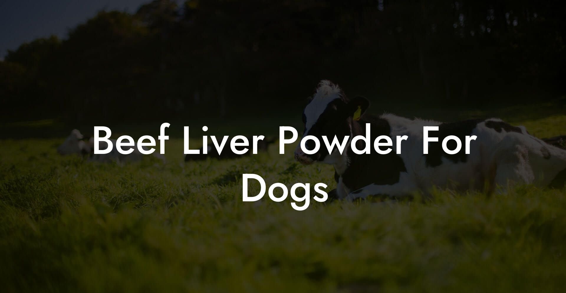 Beef Liver Powder For Dogs