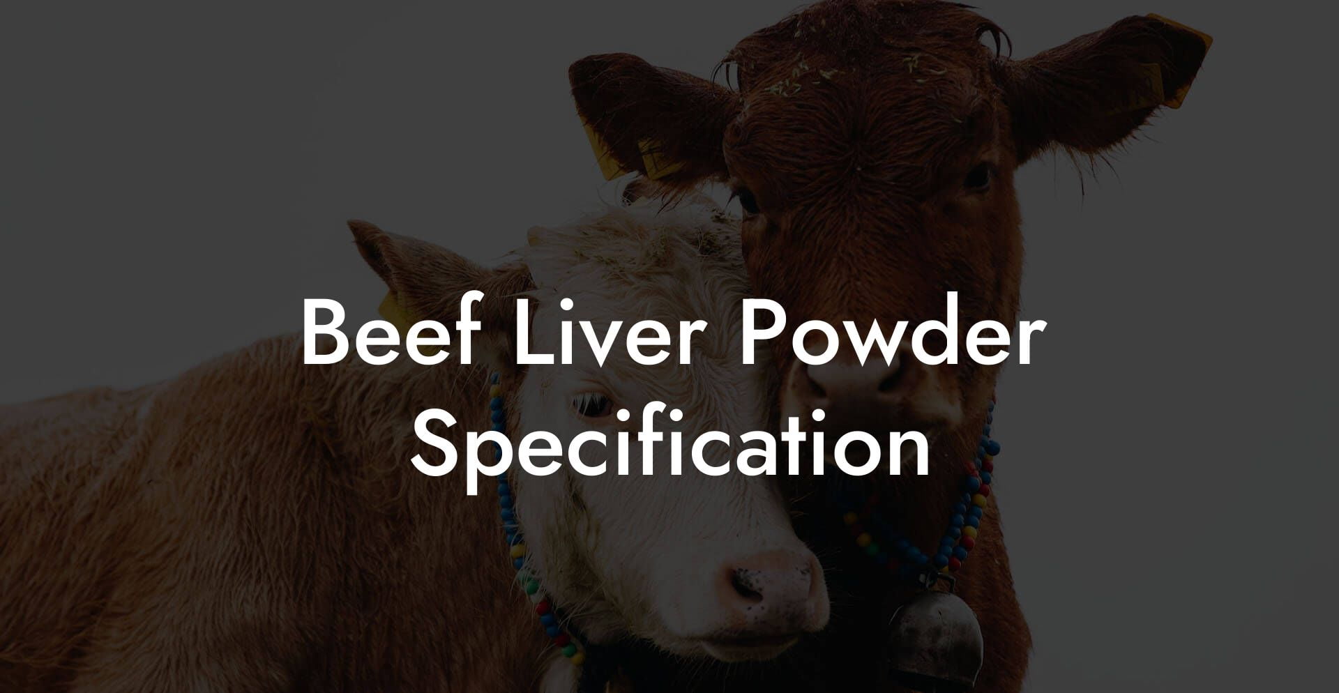 Beef Liver Powder Specification