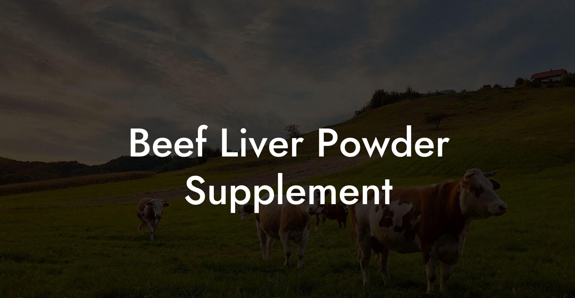 Beef Liver Powder Supplement
