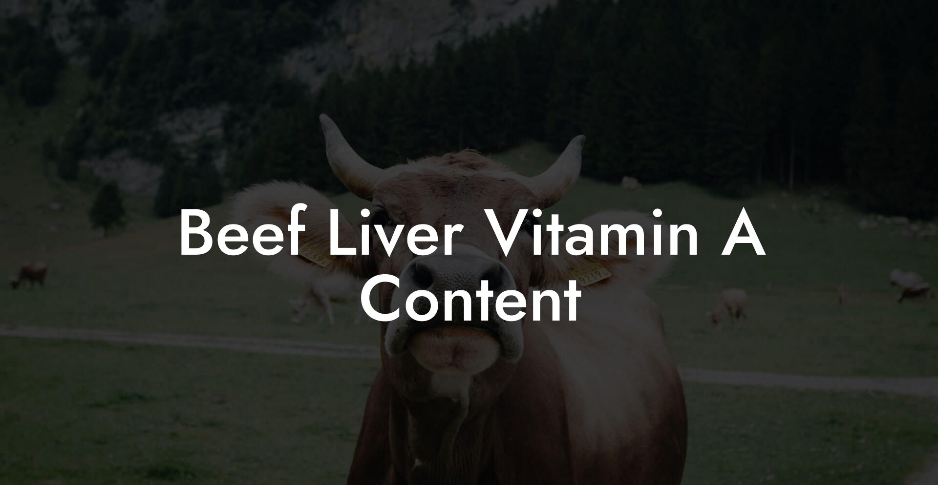 Beef Liver Vitamin A Content