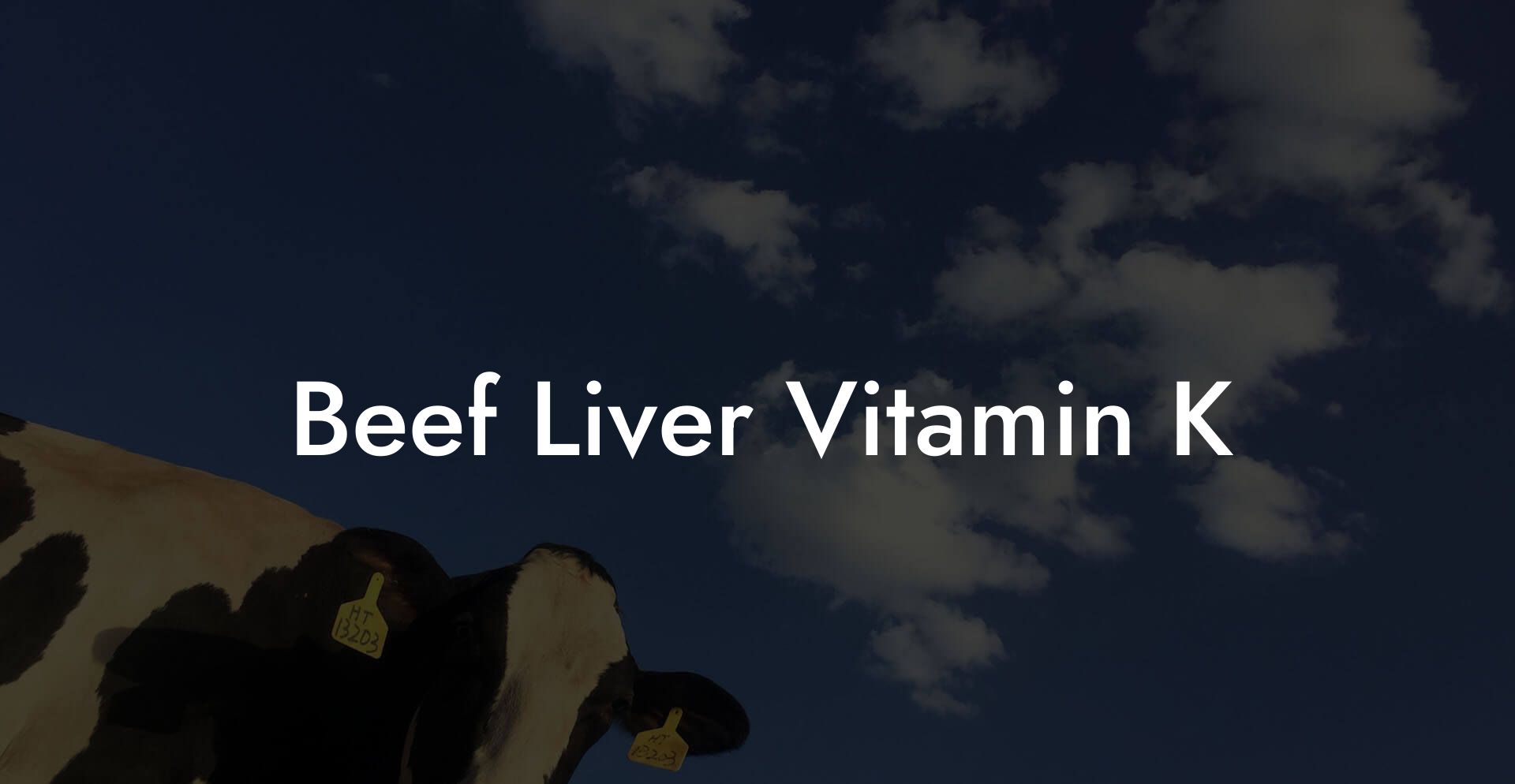 Beef Liver Vitamin K
