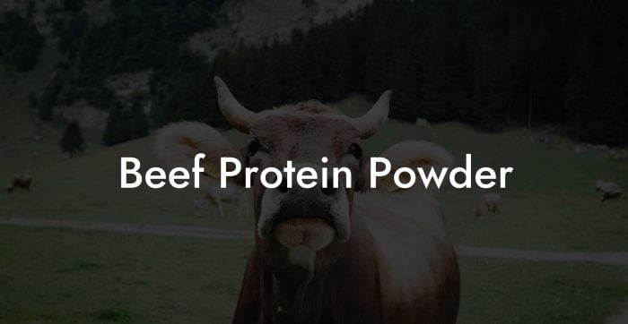 what is beef protein powder made of