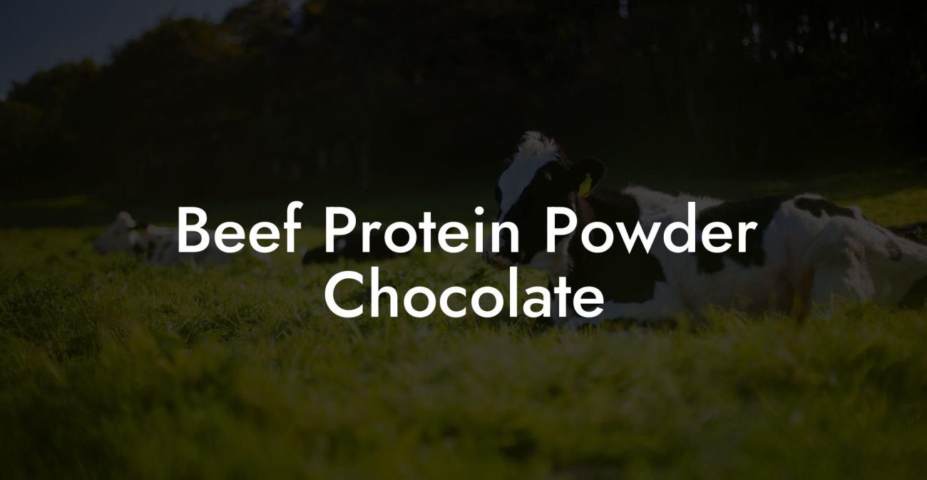 Beef Protein Powder Chocolate