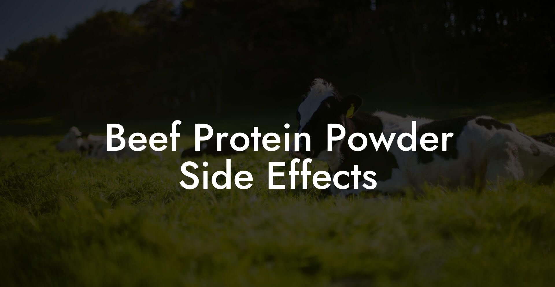Beef Protein Powder Side Effects