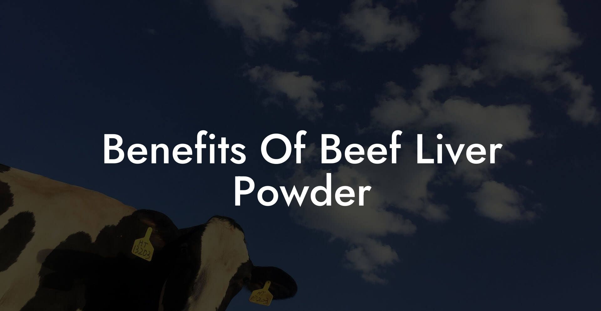 Benefits Of Beef Liver Powder