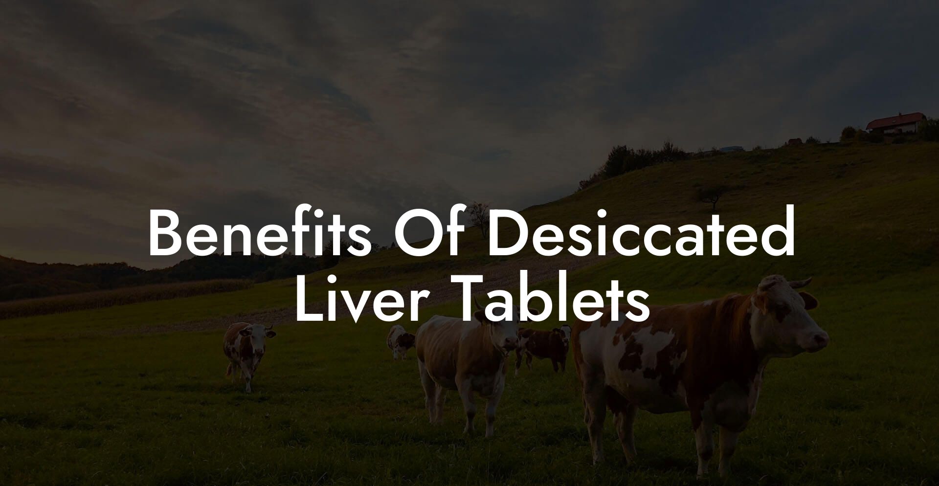 Benefits Of Desiccated Liver Tablets