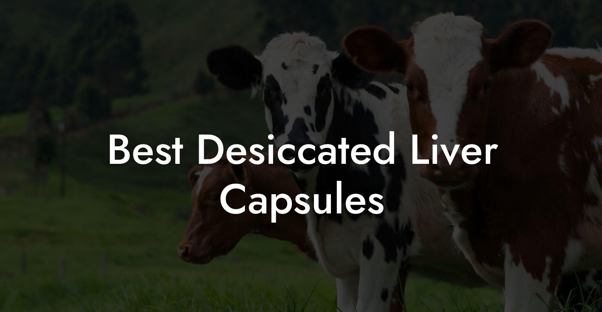 Best Desiccated Liver Capsules