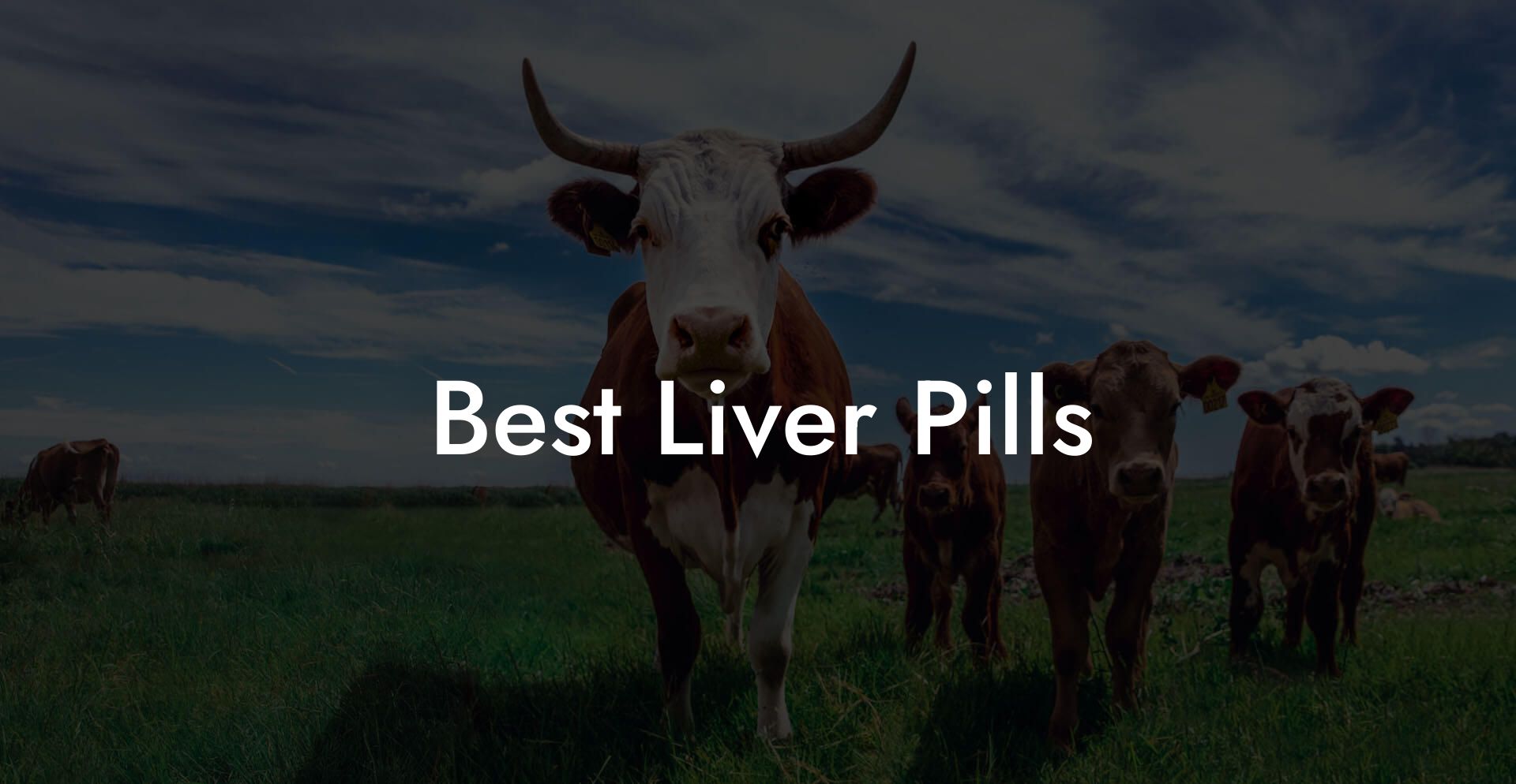Best Liver Pills