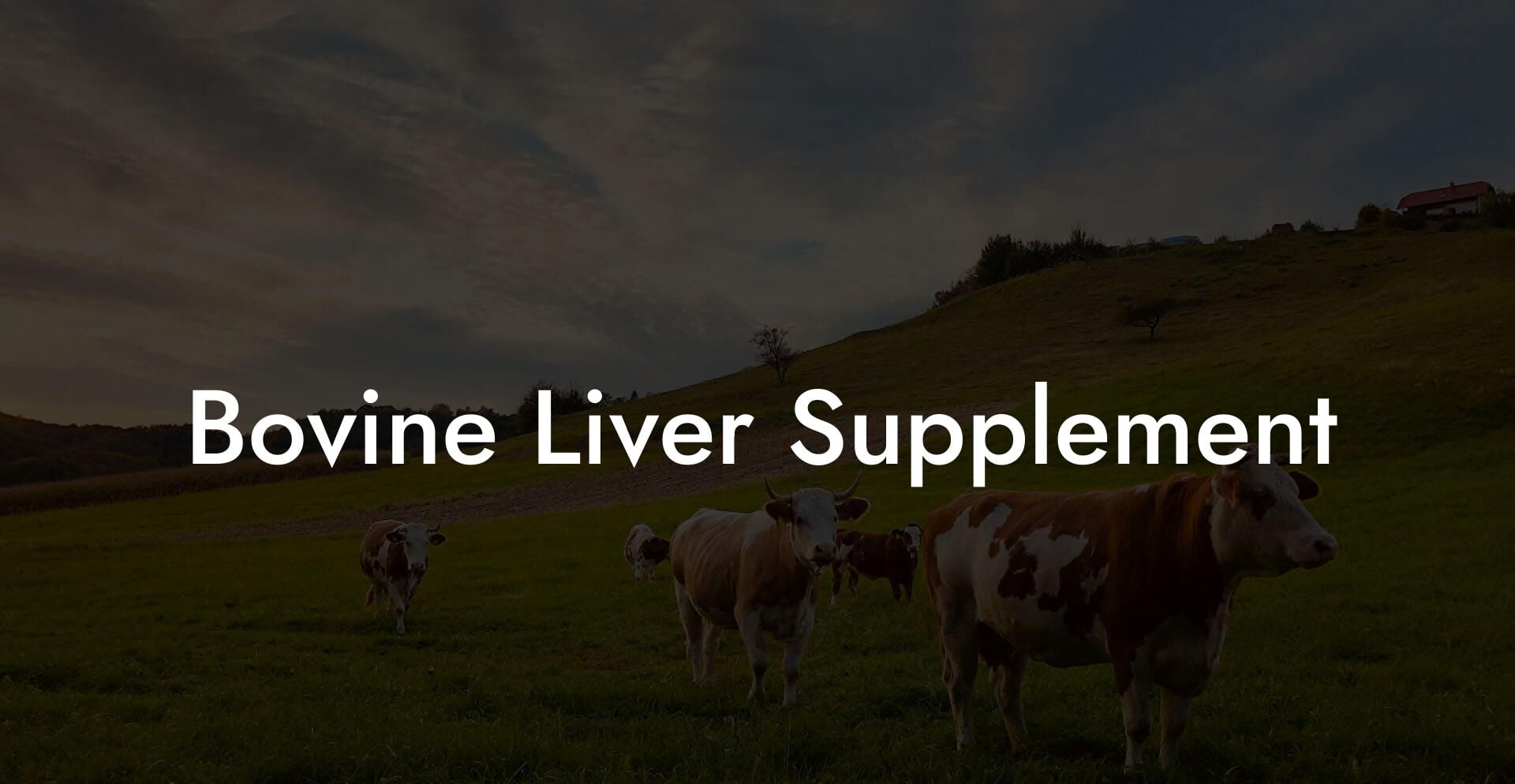 Bovine Liver Supplement