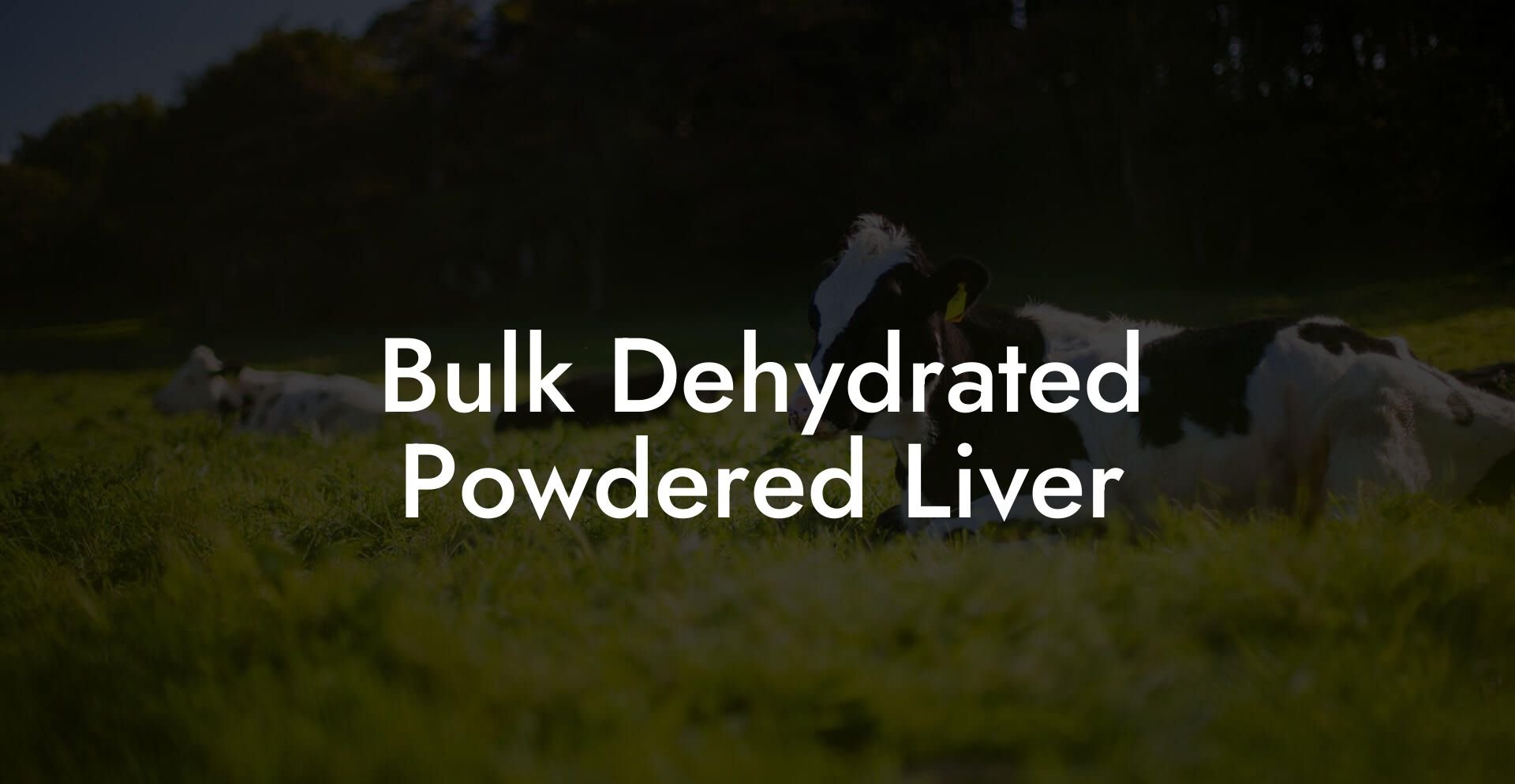 Bulk Dehydrated Powdered Liver