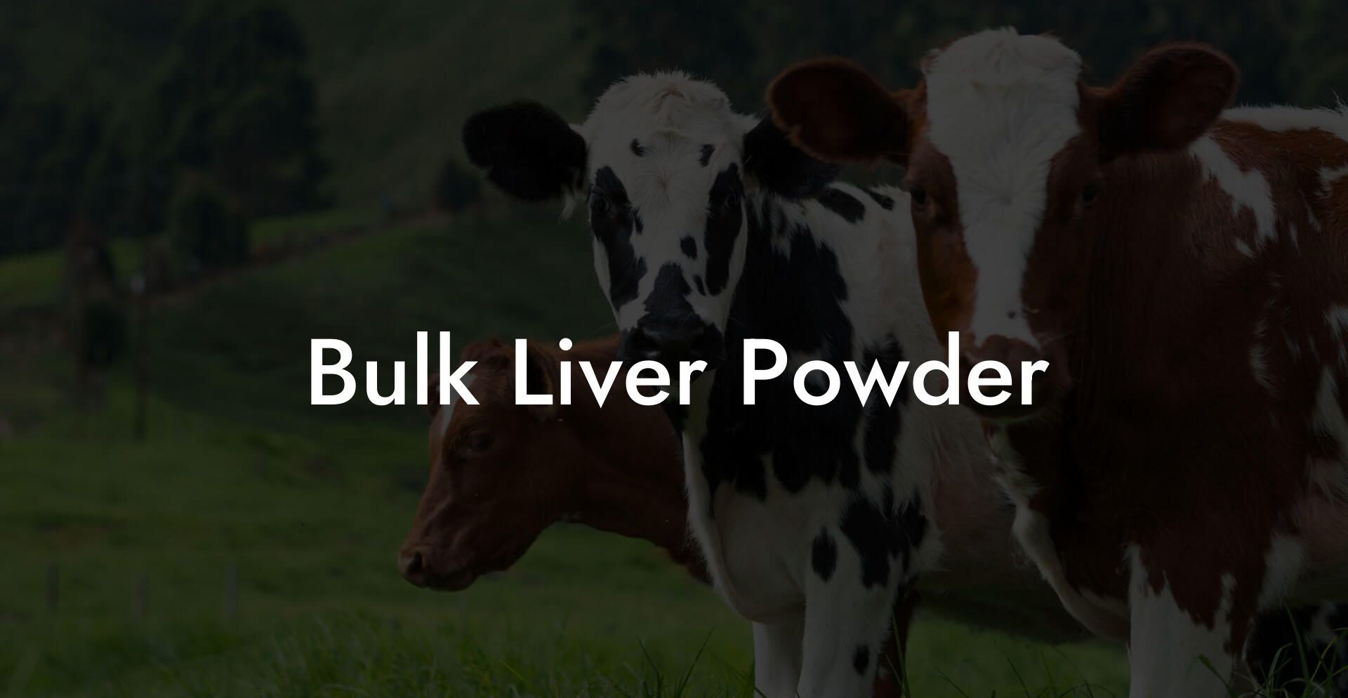 Bulk Liver Powder