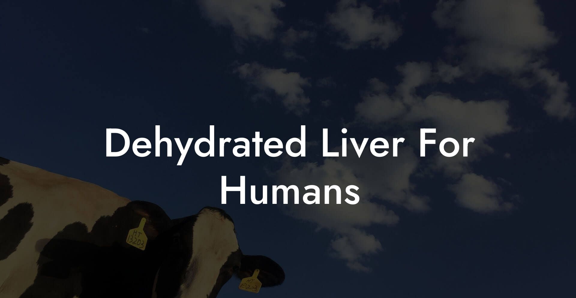 Dehydrated Liver For Humans