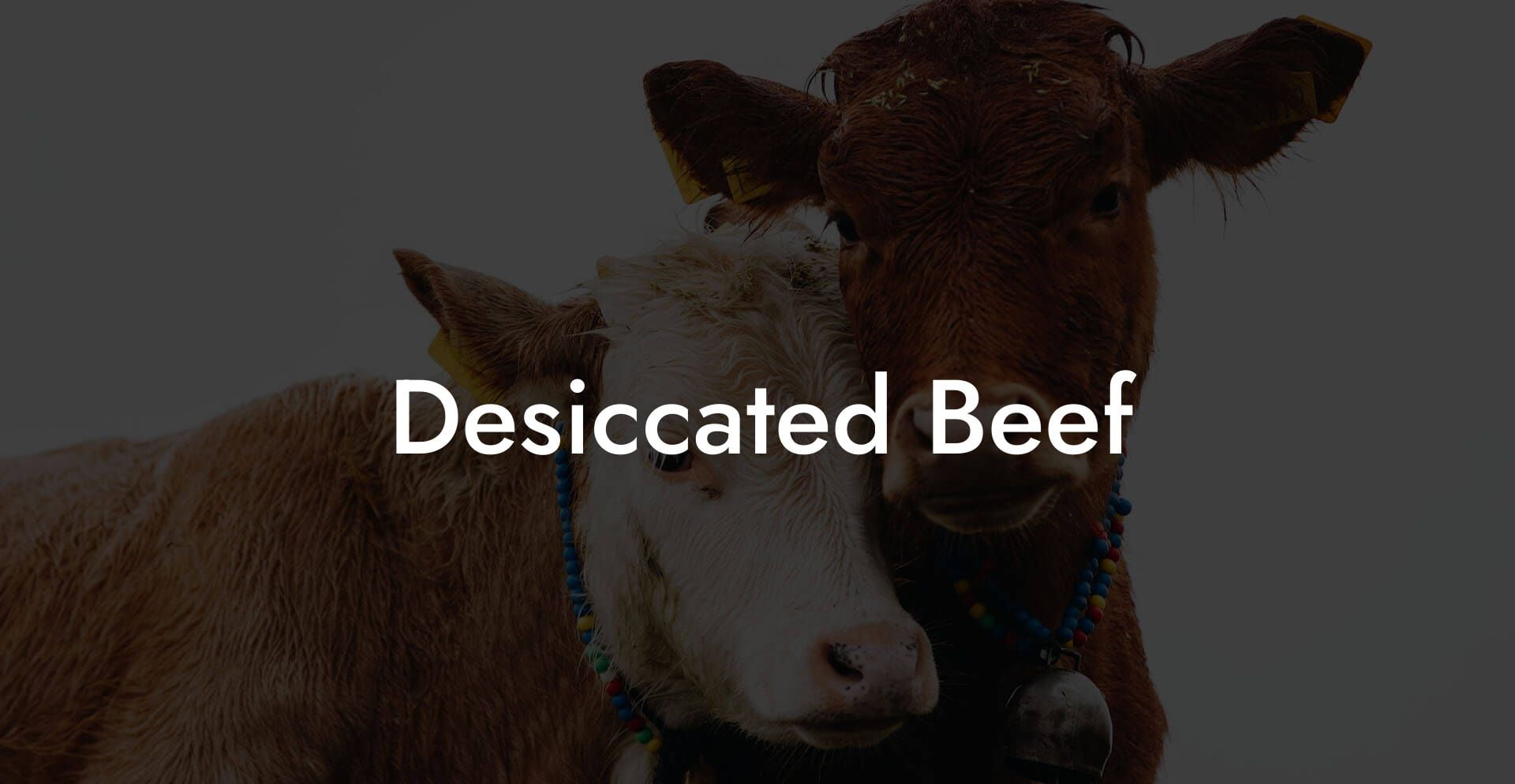 Desiccated Beef