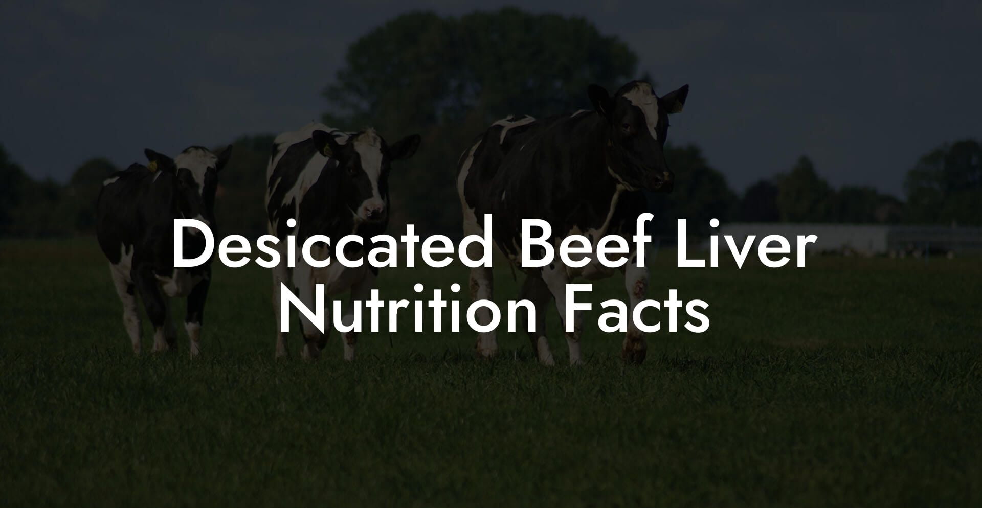 Desiccated Beef Liver Nutrition Facts