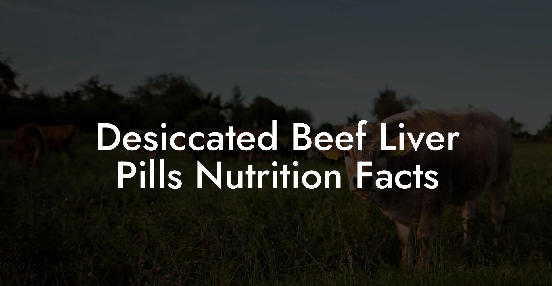Desiccated Beef Liver Pills Nutrition Facts