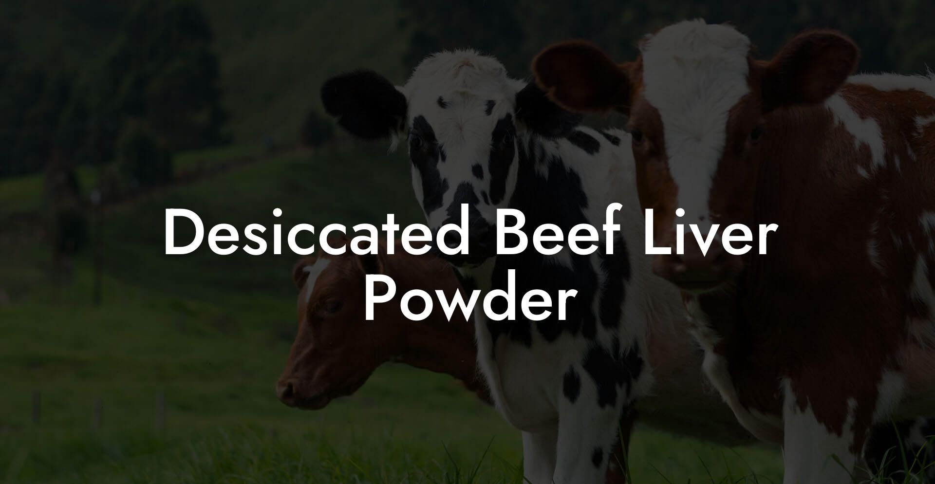 Desiccated Beef Liver Powder