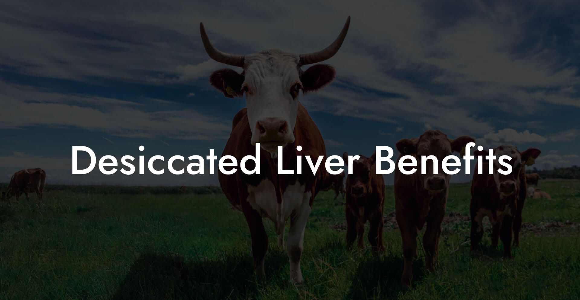 Desiccated Liver Benefits