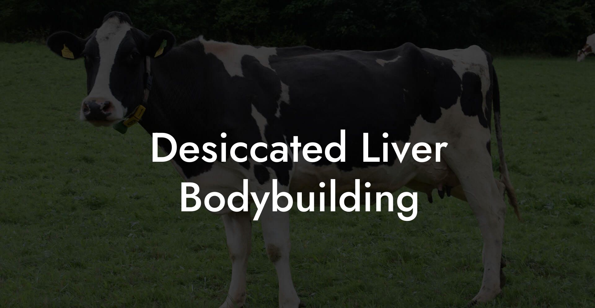 Desiccated Liver Bodybuilding