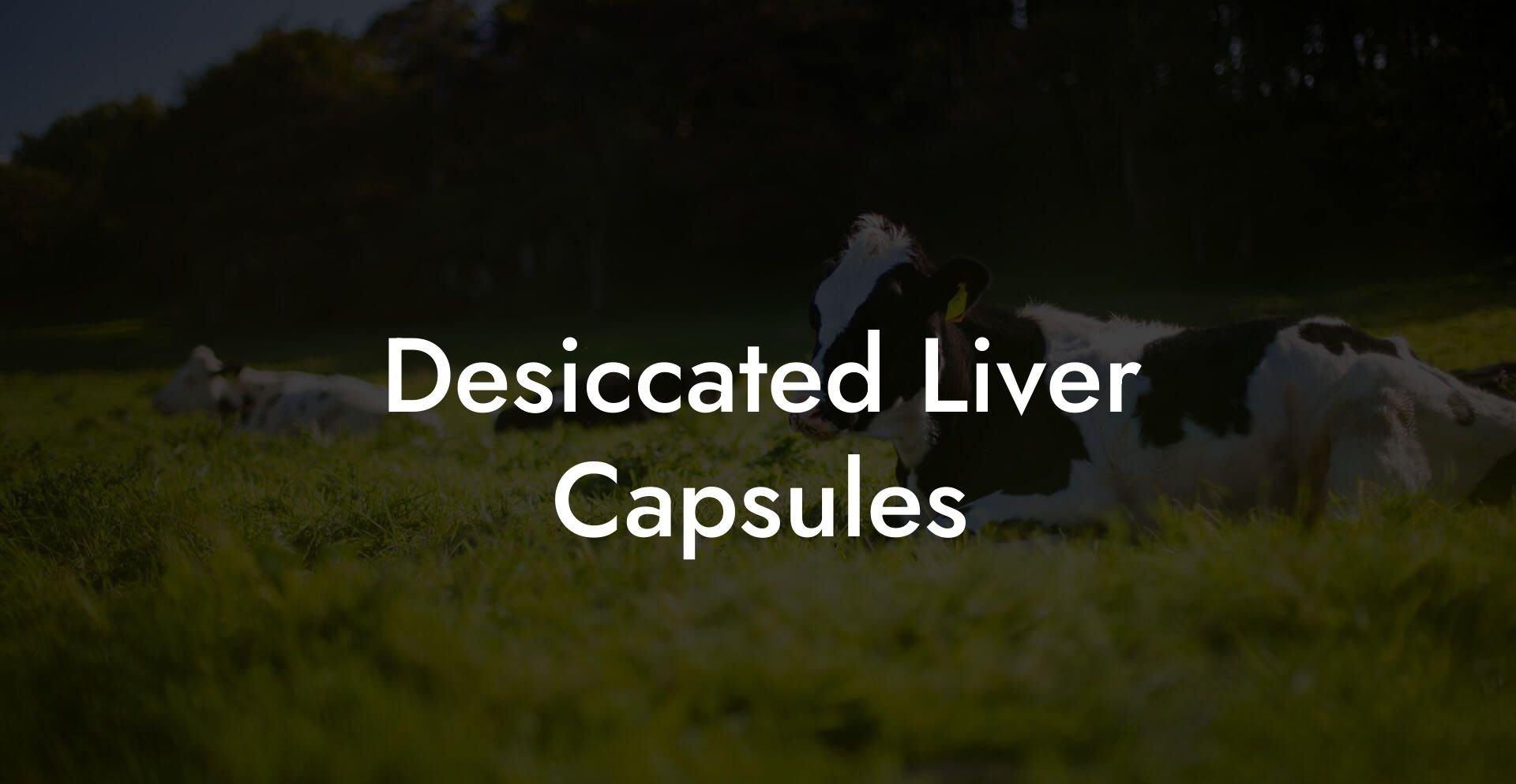 Desiccated Liver Capsules