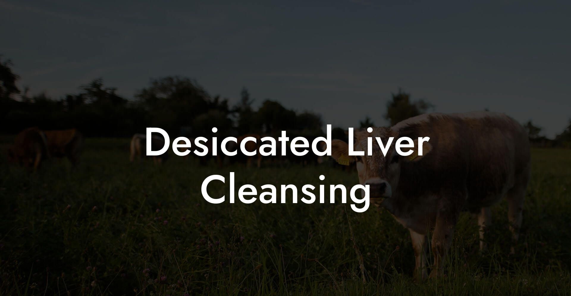 Desiccated Liver Cleansing