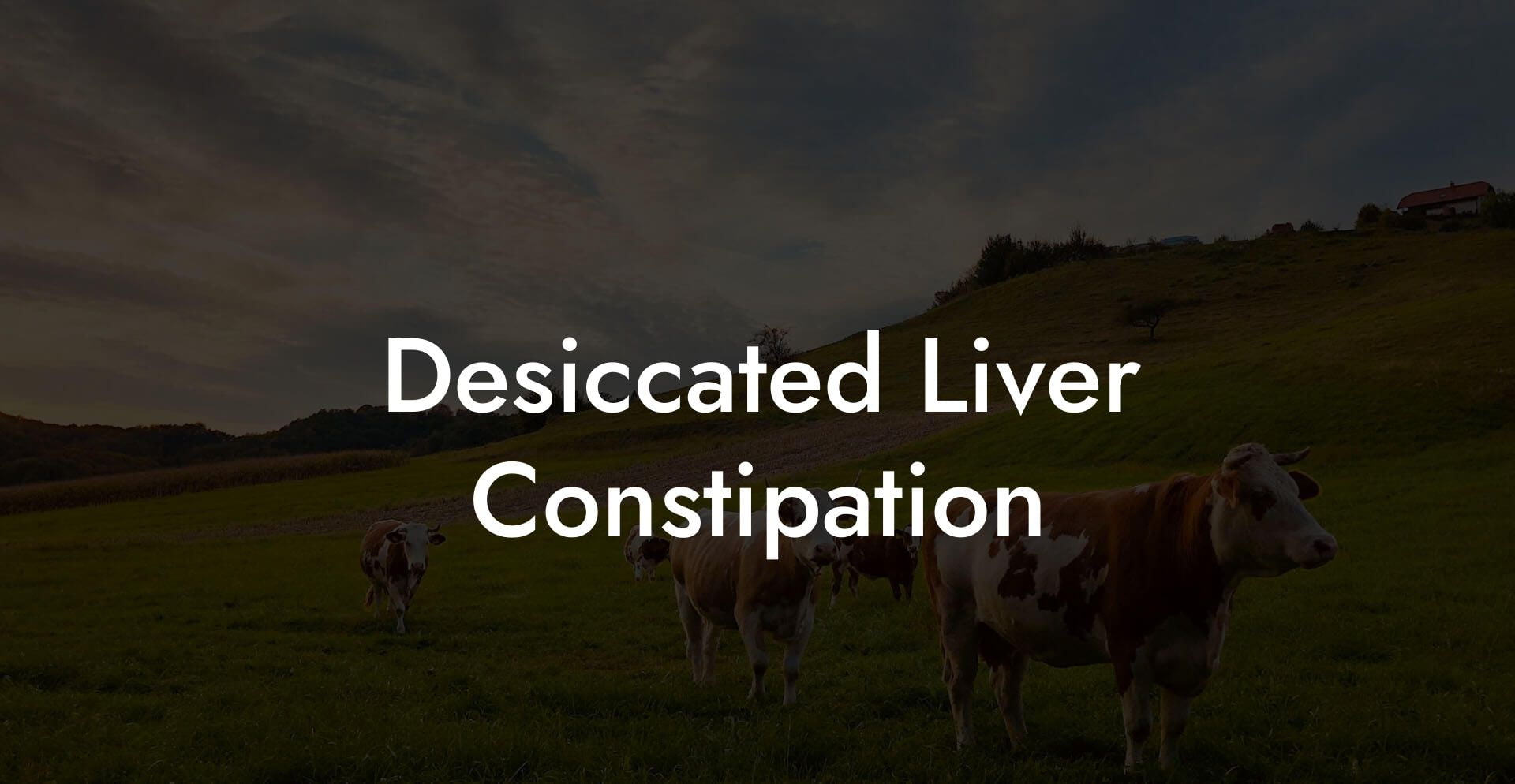 Desiccated Liver Constipation