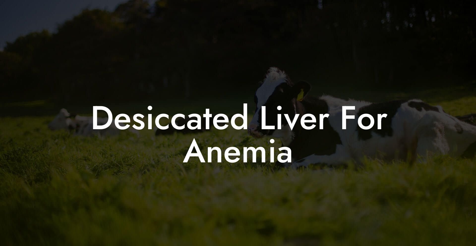 Desiccated Liver For Anemia