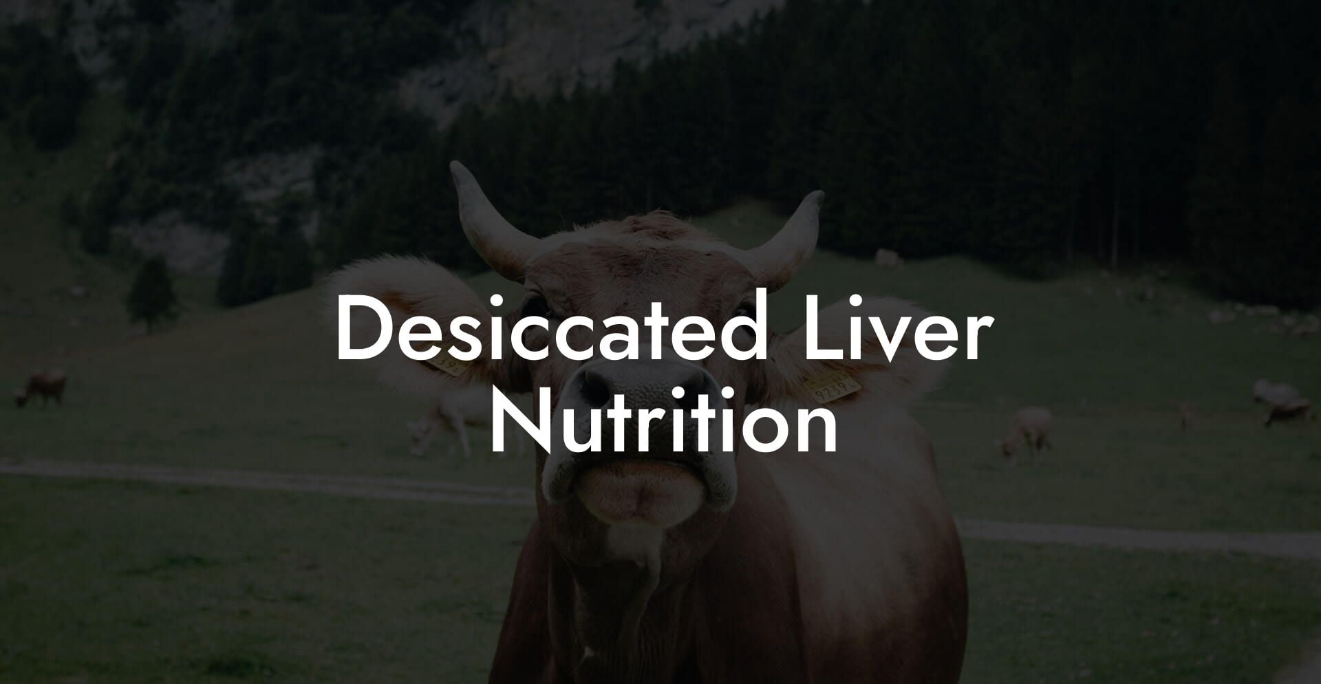 Desiccated Liver Nutrition