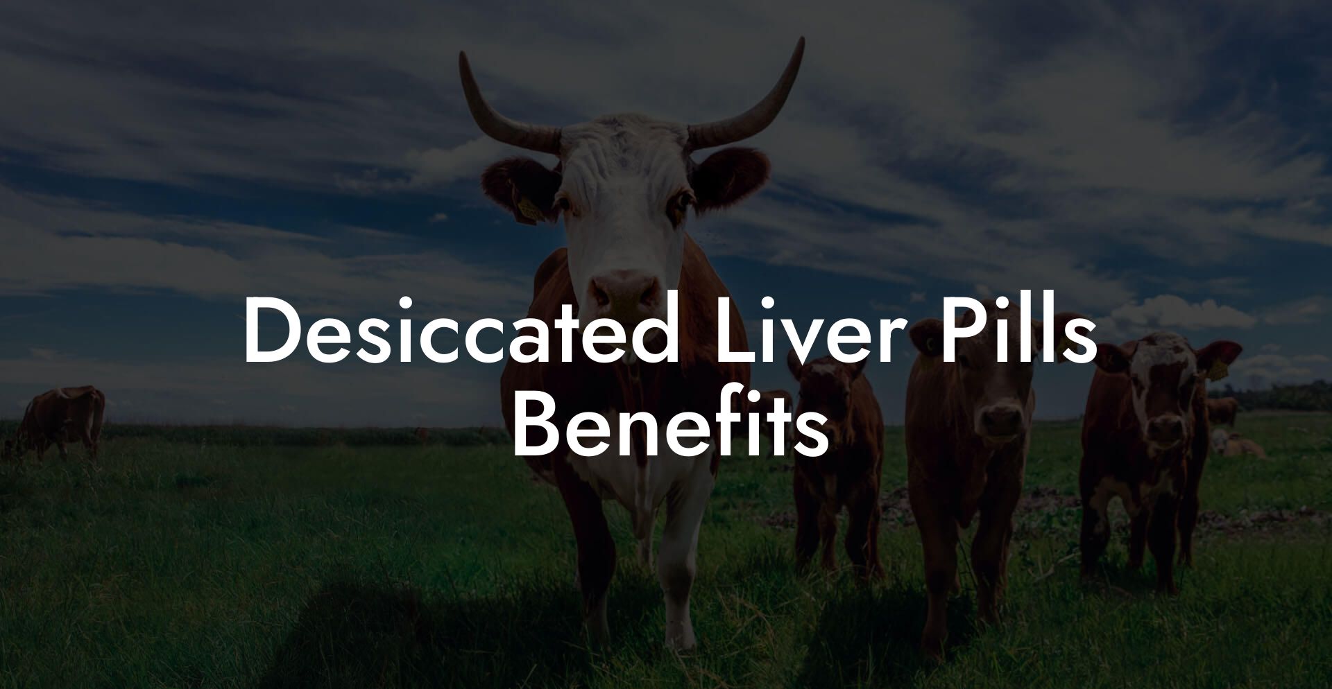 Desiccated Liver Pills Benefits