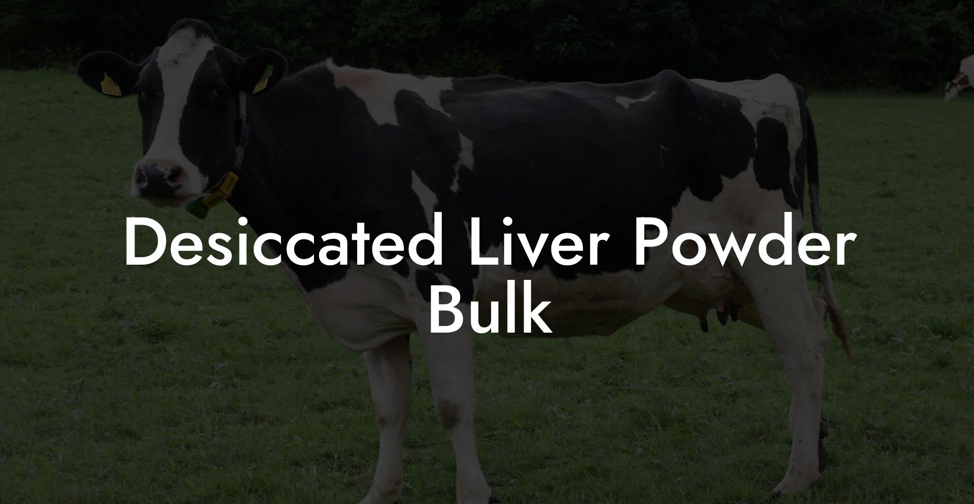 Desiccated Liver Powder Bulk