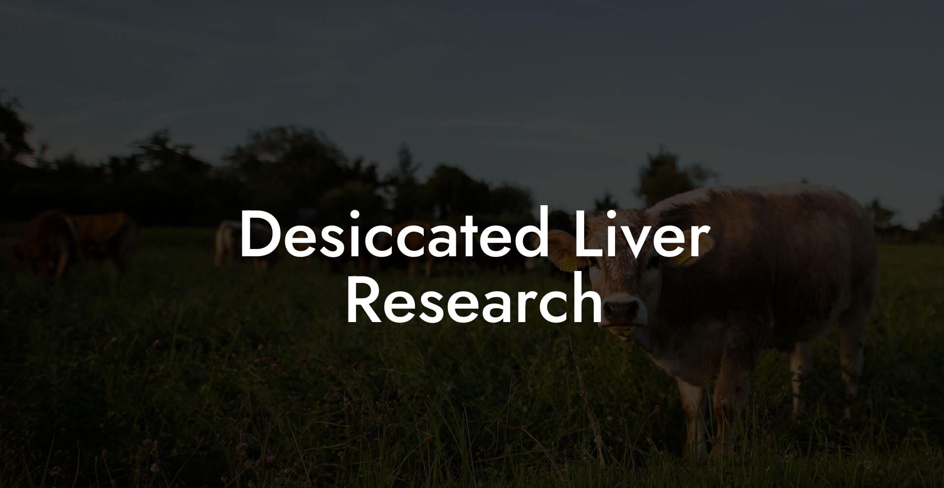 Desiccated Liver Research