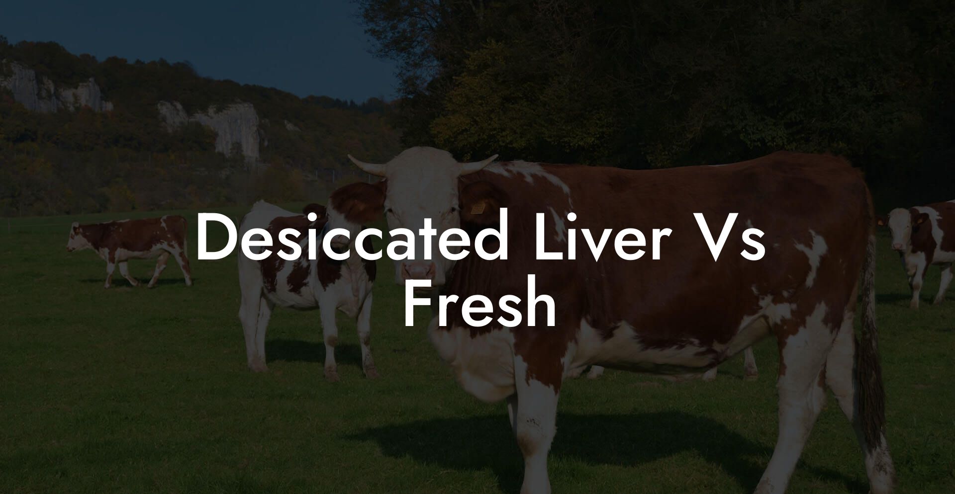 Desiccated Liver Vs Fresh