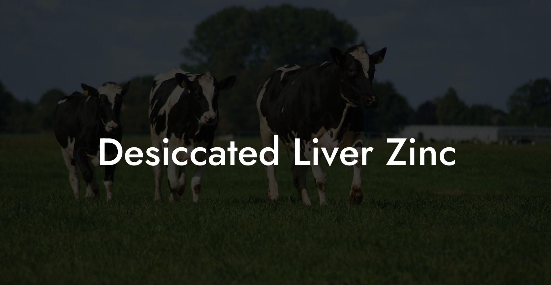 Desiccated Liver Zinc