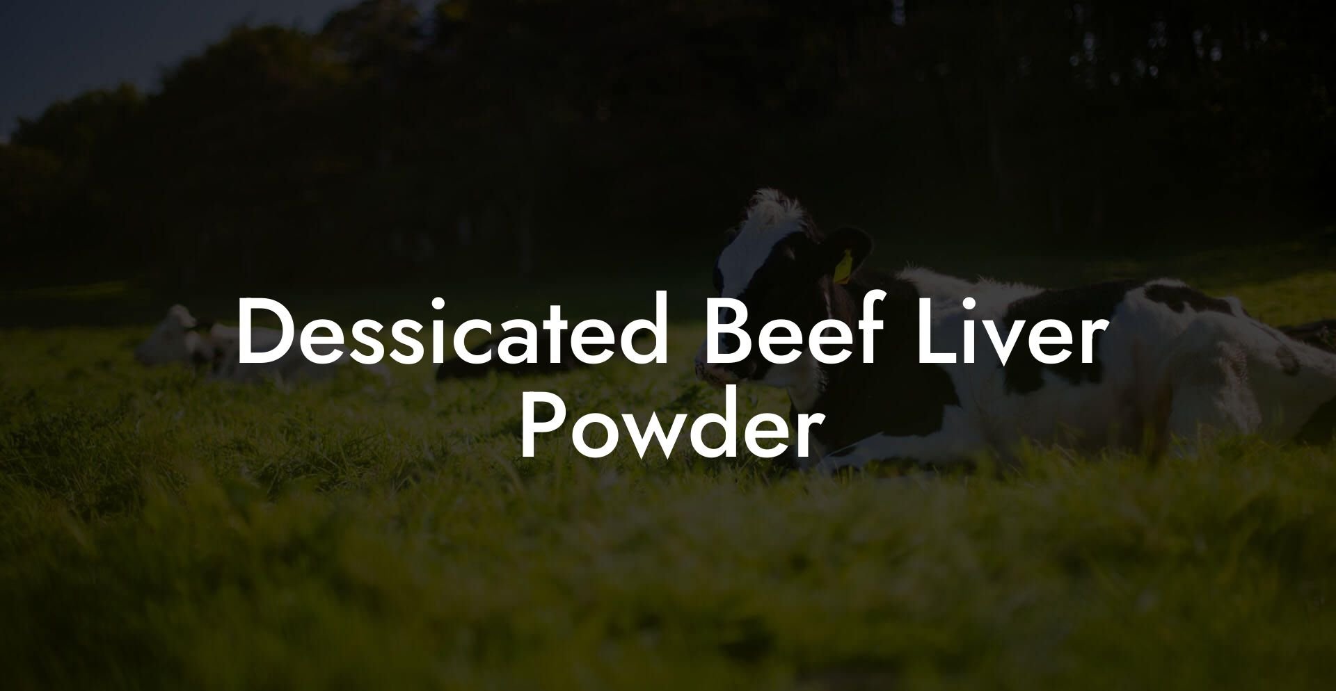 Dessicated Beef Liver Powder