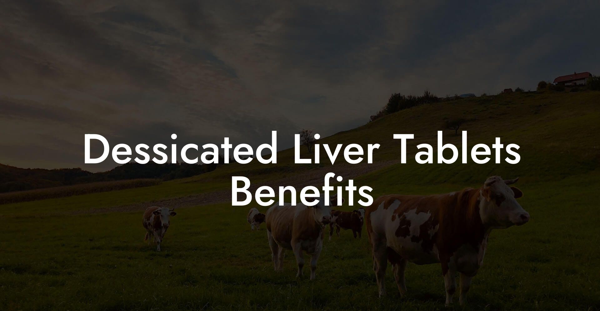 Dessicated Liver Tablets Benefits