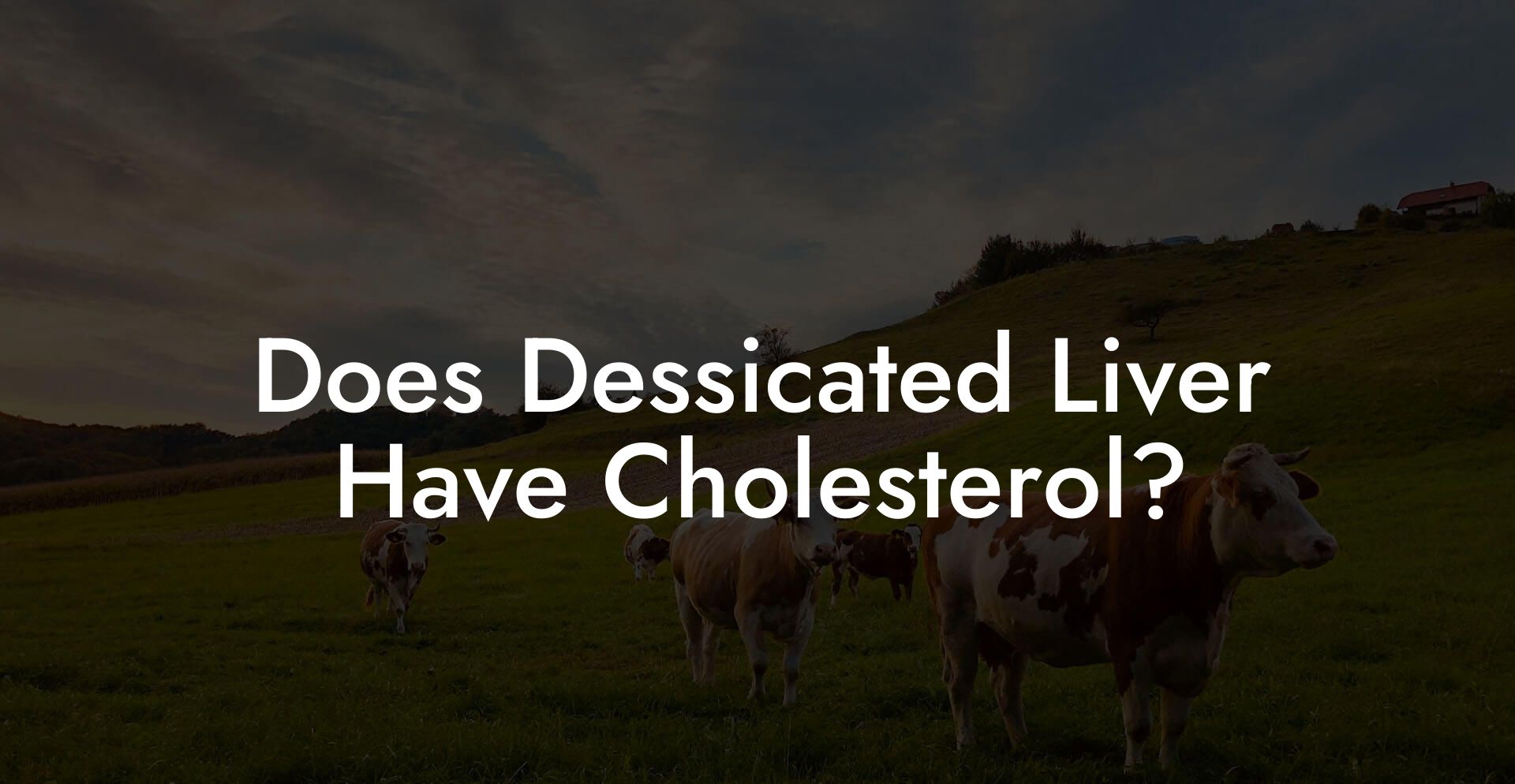 Does Dessicated Liver Have Cholesterol?