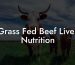 Grass Fed Beef Liver Nutrition