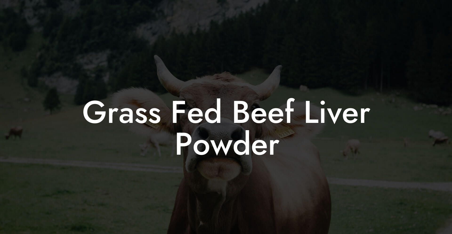 Grass Fed Beef Liver Powder