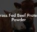 Grass Fed Beef Protein Powder
