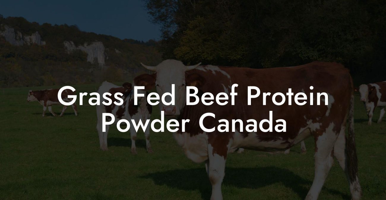 Grass Fed Beef Protein Powder Canada