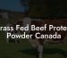 Grass Fed Beef Protein Powder Canada